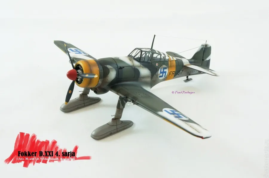 Fokker D XXI 